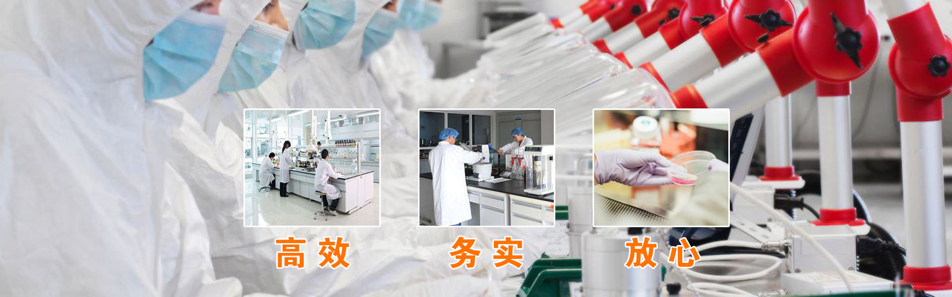 企業(yè)榮譽(yù)